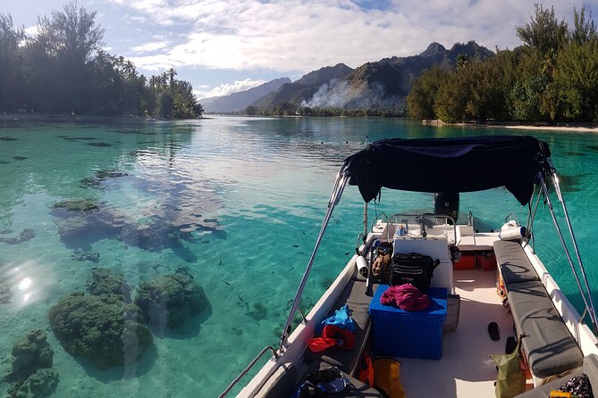 Snorkeling excursion, discovery of the lagoon, small group. - Key points to know before you book