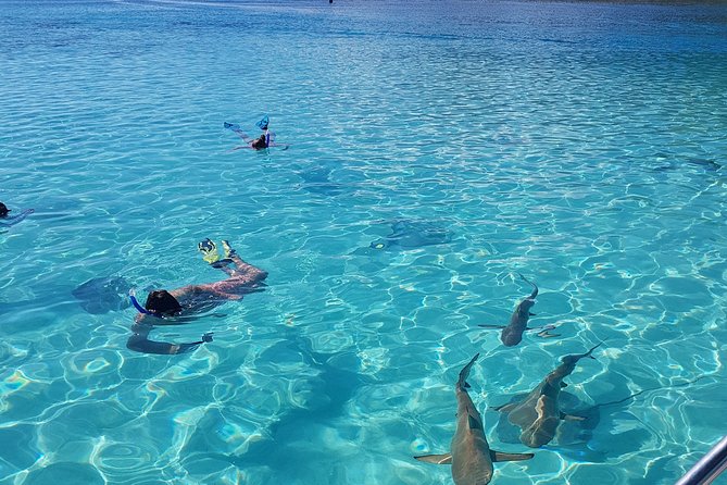 Snorkeling excursion, discovery of the lagoon, small group. - Leaving Tiahura for the west and north coast