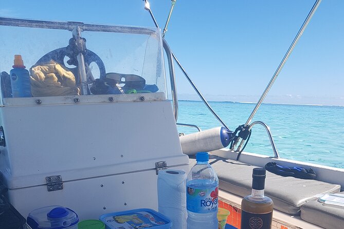 Snorkeling excursion, discovery of the lagoon, small group. - Wildlife without the usual crowd