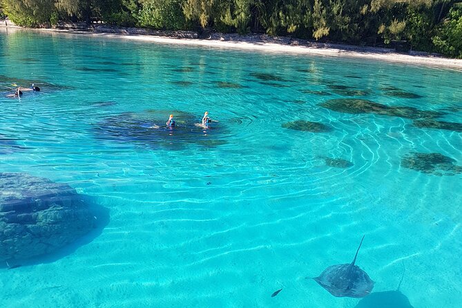 Snorkeling excursion, discovery of the lagoon, small group. - Alex’s guiding style and the human side of the trip