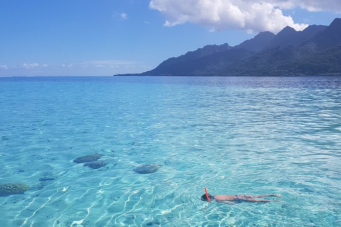 Snorkeling excursion, discovery of the lagoon, small group. - What the $118.46 price buys you