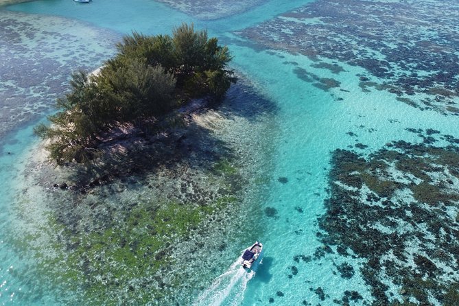 Snorkeling excursion, discovery of the lagoon, small group. - Who will enjoy this lagoon trip most