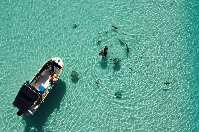 Snorkeling excursion, discovery of the lagoon, small group. - Four stops, four different ways to see the lagoon