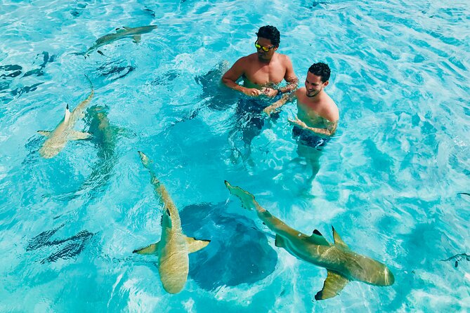Snorkeling Lagoon Cruise and Whale Watching in Moorea - What You Get for $180.58