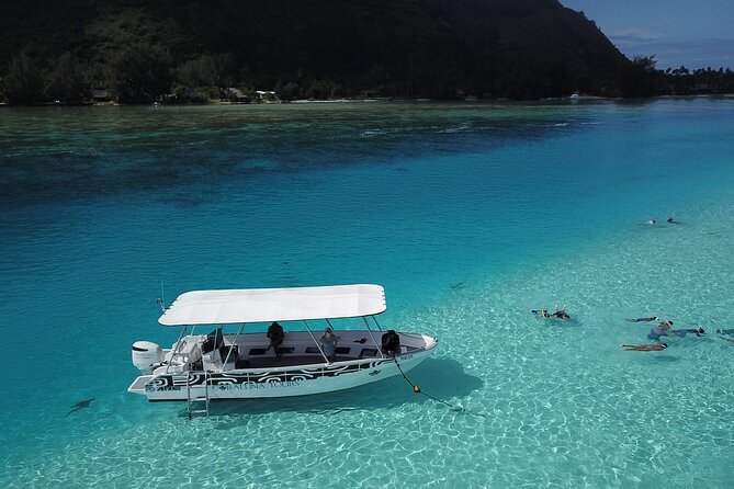 Snorkeling Lagoon Cruise and Whale Watching in Moorea - Meeting at Corallina Tours in Maharepa