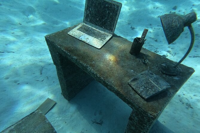 Snorkeling picnic in 4h30 with lunch in Tahiti - What lunch includes, and what it is really like