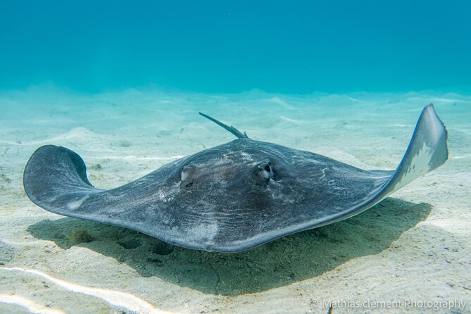 Snorkeling picnic in 4h30 with lunch in Tahiti - Starting in Faaa and getting onto the boat