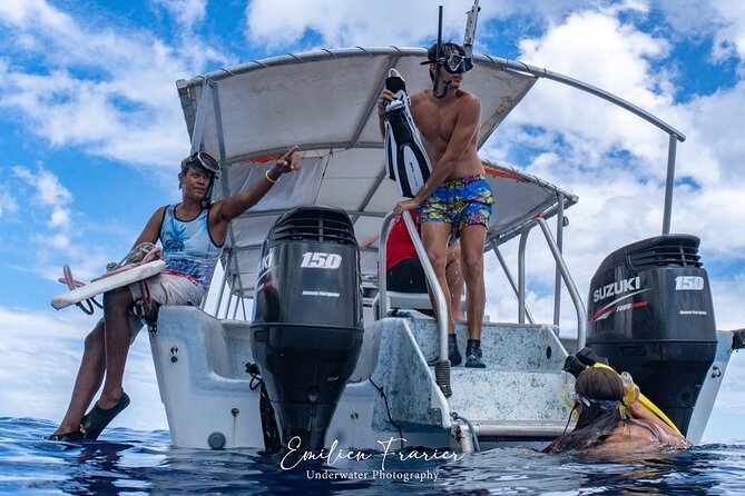 Snorkeling Safari Moorea (Half Day Tour) - Who Will Enjoy This Tour Most