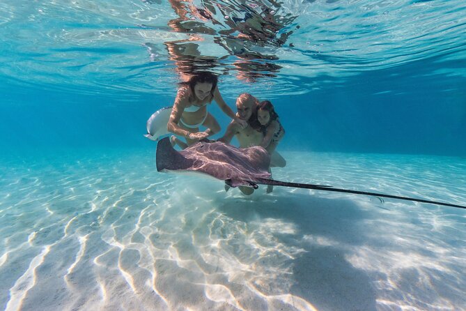 Snorkeling Tour in Moorea Aquatic Adventure Half Day - Key points to know before you book