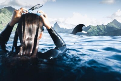 Swimming with Whales in Moorea (Half Day tour)