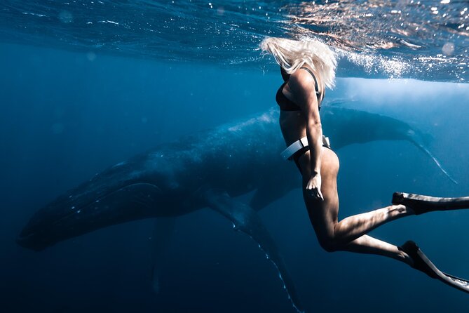 Swimming with Whales in Moorea (Half Day tour) - Dolphins, rays, sharks, and turtles add value
