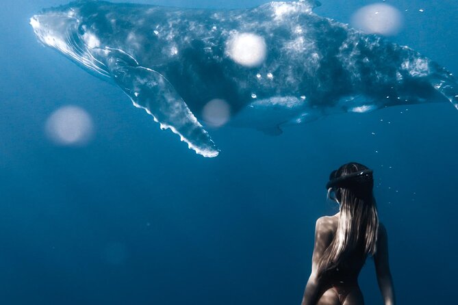 Swimming with Whales in Moorea (Half Day tour) - Mother and calf encounters are the special moments