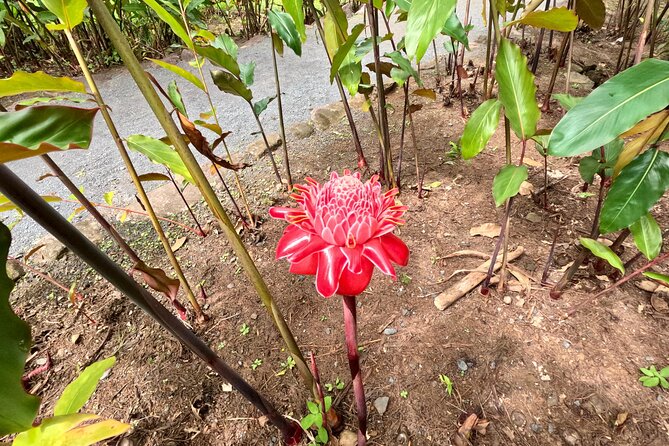Taha'a Island or Raiatea Boat Tour - Boutique Manao and a taste of local rum