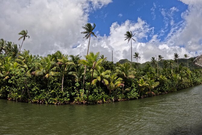 Taha'a Island or Raiatea Boat Tour - Vanilla Prods Shop and Tahaa’s famous crop