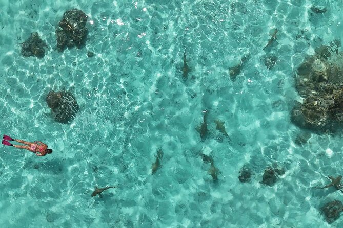 Taha'a Island or Raiatea Boat Tour - Iaorana Pearl Farm and the day’s strongest cultural stop