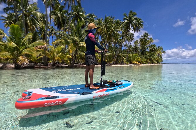 Tahaa Excursion in Electric Paddle Snorkeling Coral Garden - Quick Take: What Makes This Excursion Special