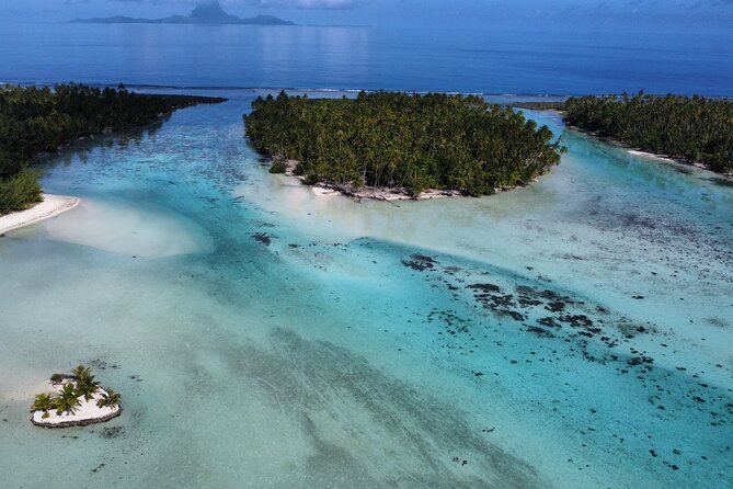Tahaa Excursion in Electric Paddle Snorkeling Coral Garden - Why the Electric Paddleboard Works So Well in Taha’a