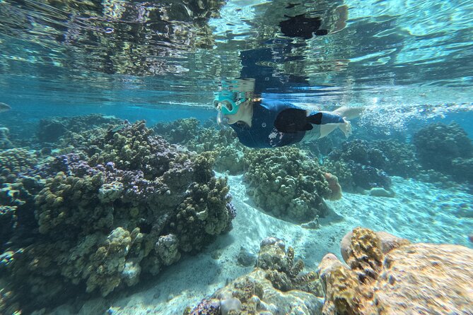 Tahaa Excursion in Electric Paddle Snorkeling Coral Garden - Taha’a, Raiatea, and the Lagoon Setting