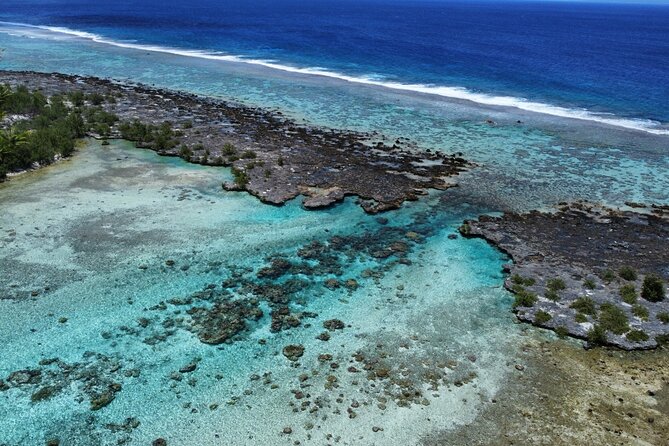 Tahaa Excursion in Electric Paddle Snorkeling Coral Garden - Afternoon and Private Options