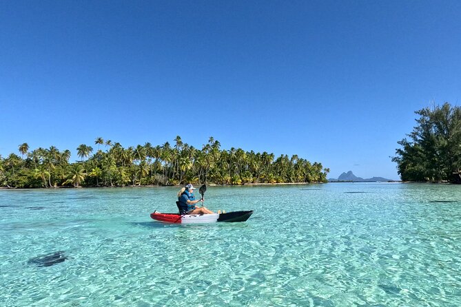 Tahaa: Kayaking Rental - Coral Garden - Snorkeling - Why this Taha’a kayak trip is worth considering