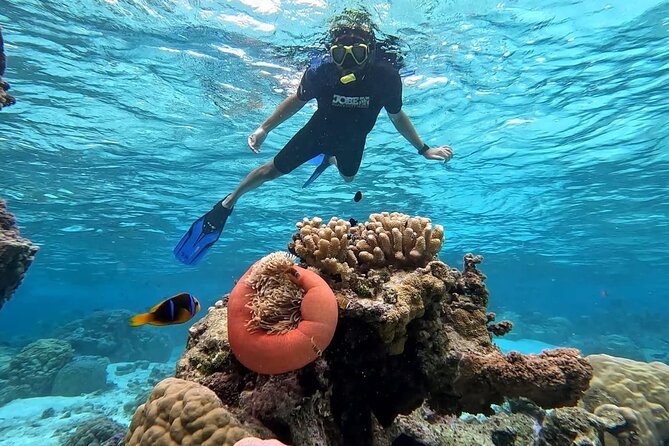 Tahaa: Kayaking Rental - Coral Garden - Snorkeling - Snorkeling gear and the underwater experience