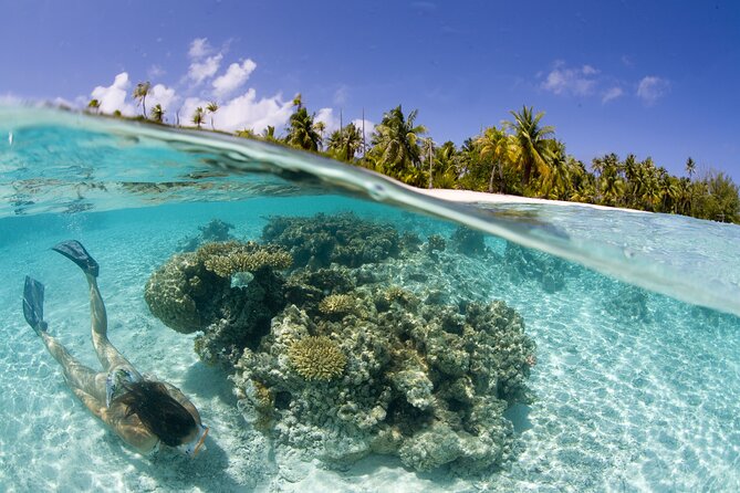 Tahaa Lagoon Tour -Departure Raiatea-Small groups (max 12 p) - Tau Tau Coral Garden: The Water-Level Highlight