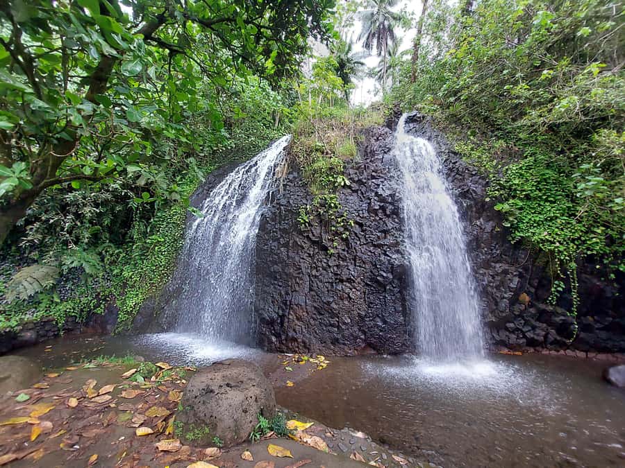 Tahiti Classical Coastal Full Day Private Tour - Why this private Tahiti tour works well