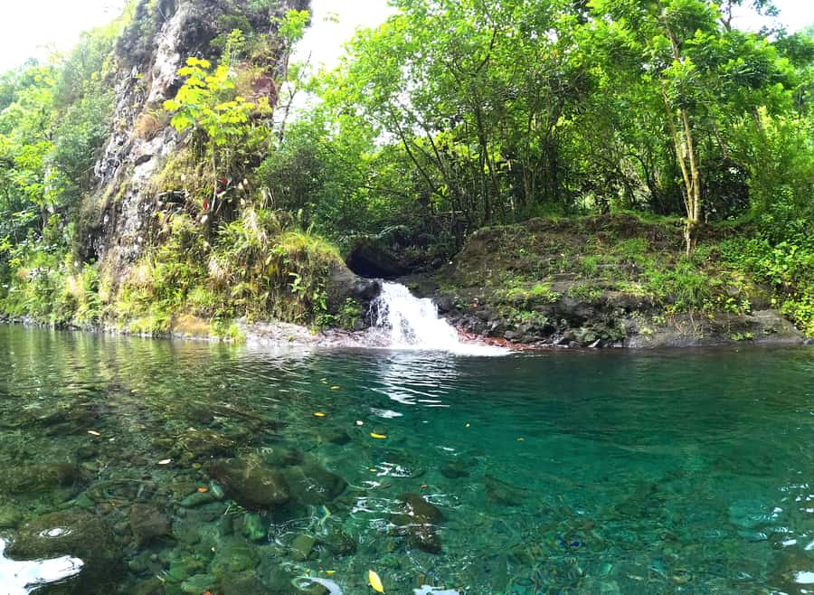 Tahiti E-bike, mtb, vtt Tour with Swimming and Lunch - Getting started on the dual-suspension e-bikes