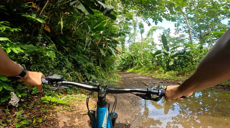 Tahiti E-bike, mtb, vtt Tour with Swimming and Lunch - Lunch in the middle of the valley