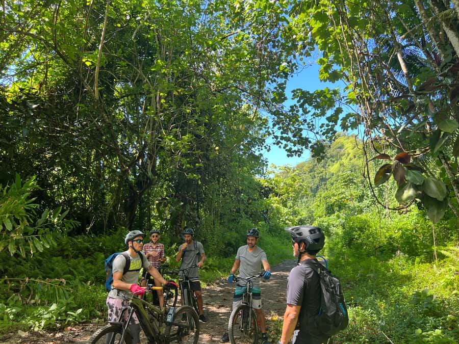 Tahiti E-bike, mtb, vtt Tour with Swimming and Lunch - The 75-minute transfer from the hotels