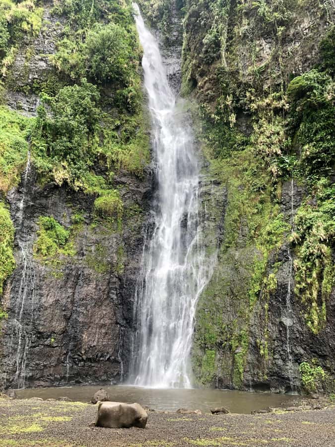 Tahiti: East or West coast tour (Half Day) - West coast: beaches, caves, surf, and water gardens