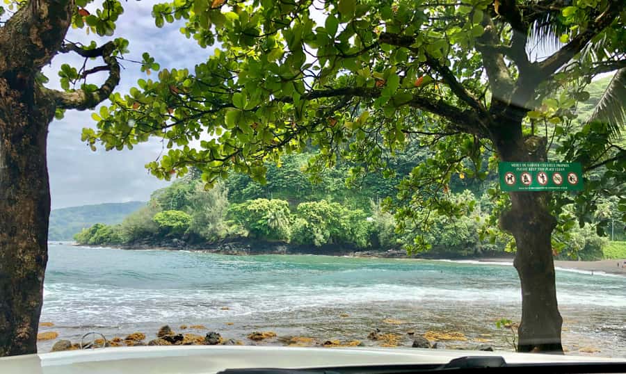 Tahiti: East or West coast tour (Half Day) - Who should book this Tahiti half-day tour?