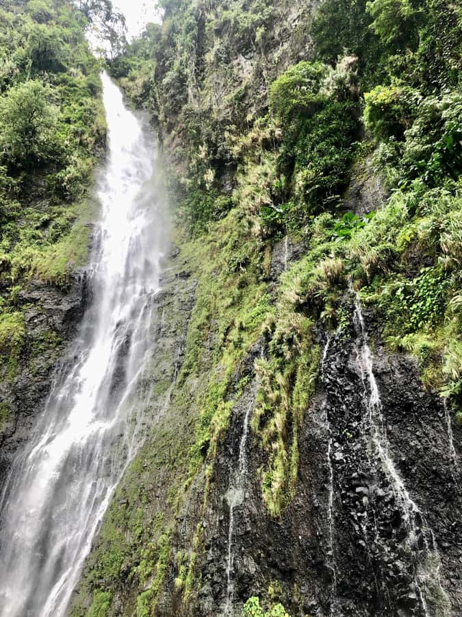 Tahiti: East or West coast tour (Half Day) - Should you book it?