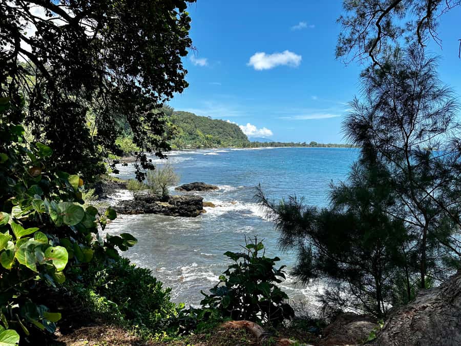 Tahiti: East or West coast tour (Half Day) - What the four-hour format does well