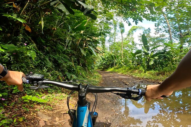 Tahiti excursion adventure circuit MTB MTB E-Bike private valley - Who should book this Tahiti bike adventure?