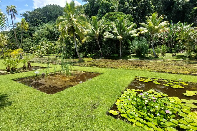 Tahiti Full Day Private Coastal Tour - Why a private day is useful on Tahiti
