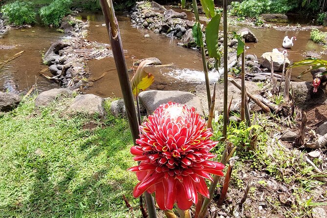 Tahiti Full Day Private Coastal Tour - Taravao, the island’s narrow middle