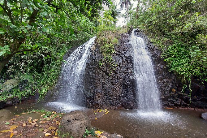 Tahiti Full Day Private Coastal Tour - Faaone’s twin waterfalls and Faarumai
