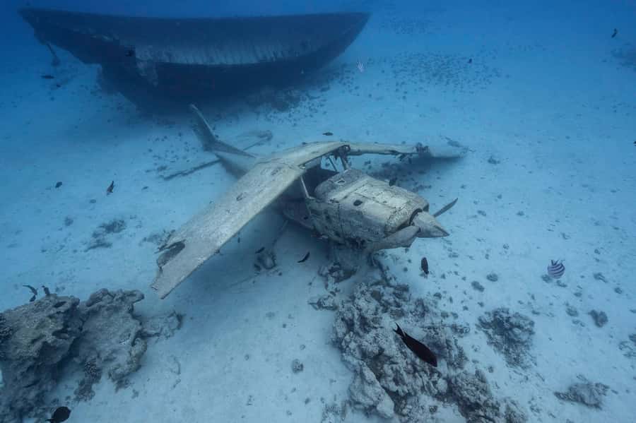 Tahiti island: 4 hours Snorkeling Tour - Key points to know before you book