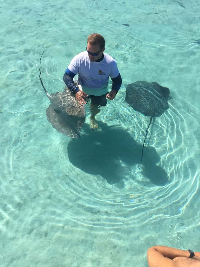 Tahiti island: 4 hours Snorkeling Tour - A four-hour slice of Tahiti’s lagoon