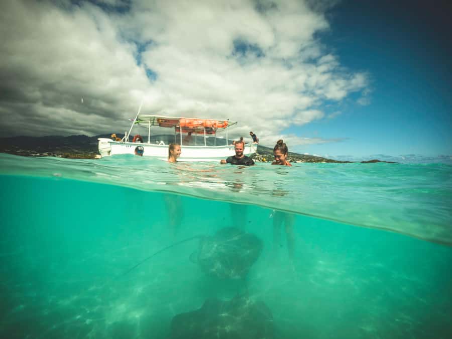 Tahiti island: 4 hours Snorkeling Tour - Pickup details need careful attention
