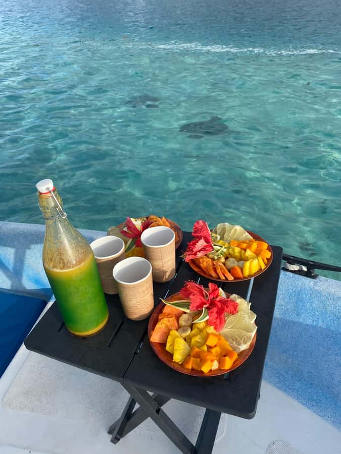 Tahiti island: 5 hours Snorkeling Picnic - Key points to know before you book