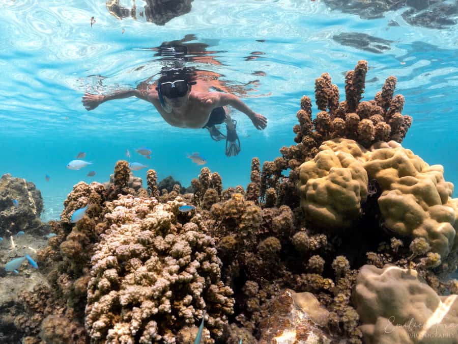Tahiti island: 5 hours Snorkeling Picnic - Why this five-hour trip feels like a full Tahiti day