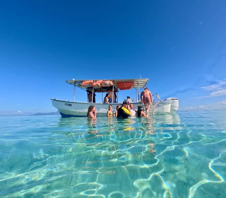 Tahiti island: 5 hours Snorkeling Picnic - Is $227 per person a fair price?