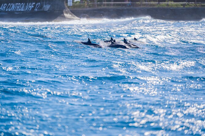 Tahiti Lagoon Snorkeling and Lunch Boat Tour (6 pax max) - What $218.64 buys you