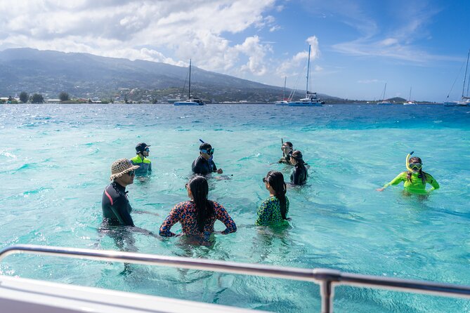 Tahiti Lagoon Snorkeling and Lunch Boat Tour (6 pax max) - Timing, comfort, and the small print