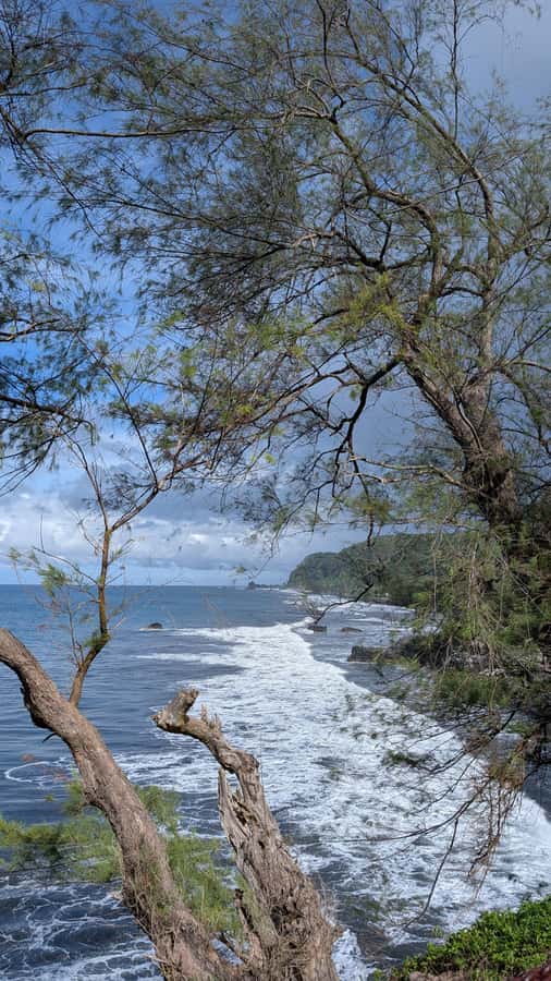 Tahiti: Northeast Coast Waterfalls&Viewpoints Half Day Tour - Arahoho Blowhole and the force of the Pacific