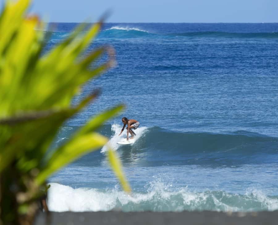 Tahiti: Private Half Day Culture and Nature Highlights Tour - Why this tour works as a first look at Tahiti
