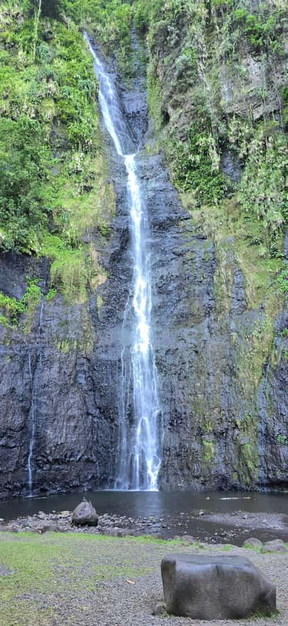 Tahiti: Private Half Day Culture and Nature Highlights Tour - Vaipahi Water Gardens, flowers and clear streams
