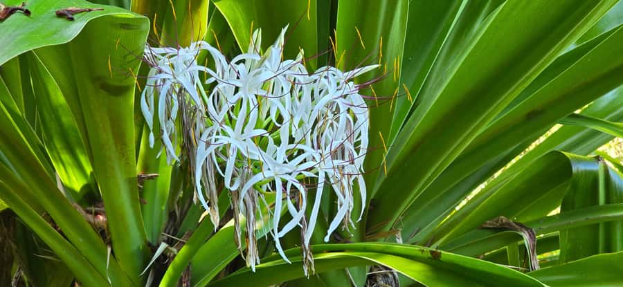 Tahiti: Private Half Day Culture and Nature Highlights Tour - Faarumai Waterfall in the valley of three falls